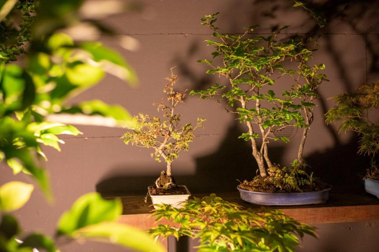 Il Giardino Segreto Apartment Carbognano Ngoại thất bức ảnh