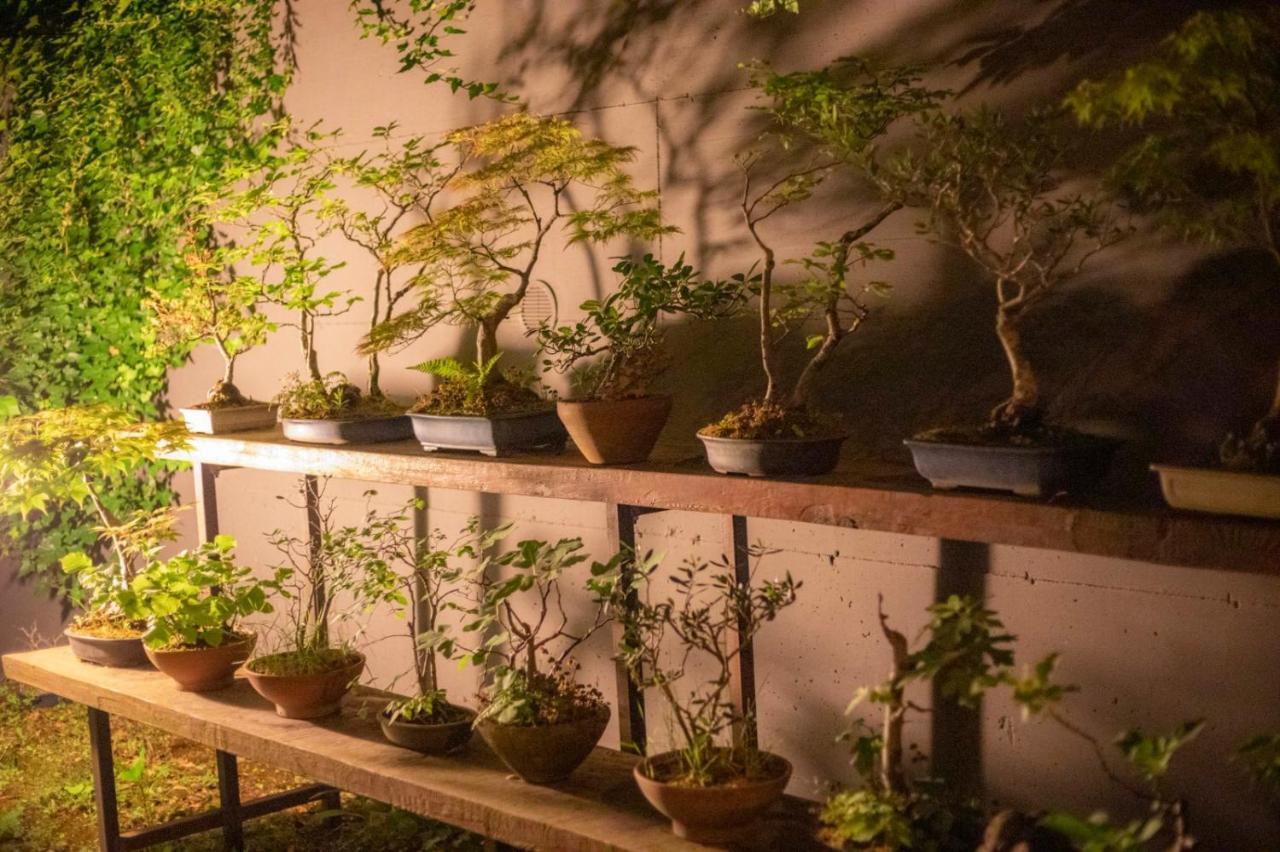 Il Giardino Segreto Apartment Carbognano Ngoại thất bức ảnh