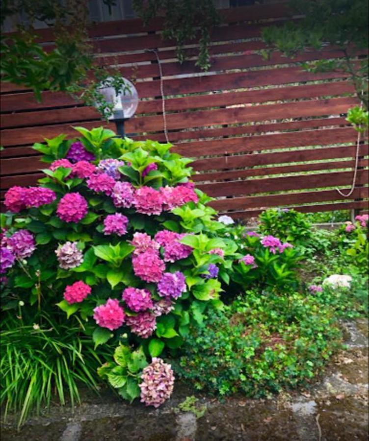 Il Giardino Segreto Apartment Carbognano Ngoại thất bức ảnh